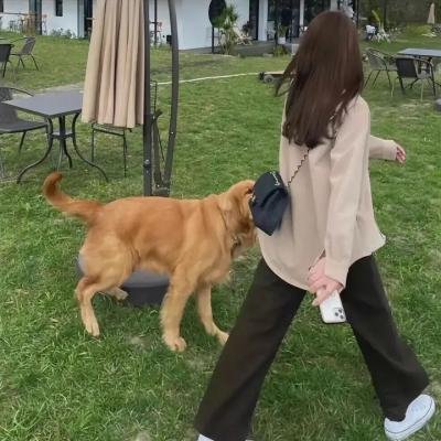 妈妈不让